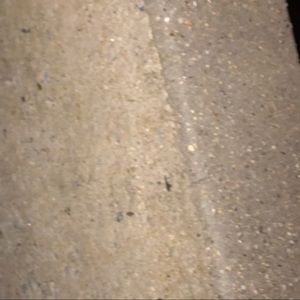 Meet your Posher, Dan